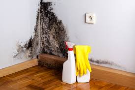 Cleveland Heights, OH Mold Removal Company